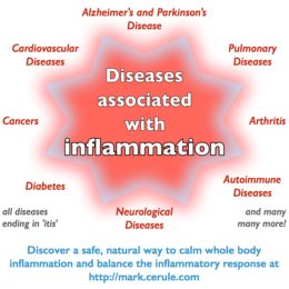 diseases associated with long term inflammation