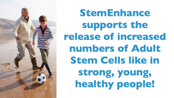 StemEnhance Supports the release of increased numbers of Adult Stem cells like in strong, young healthy people