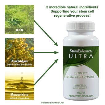 StemEnhance Ultra is made from three highly nutritional ingredients