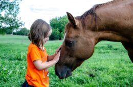 Young girl with horse - clever reminder to keeping young with stem cell nutrition