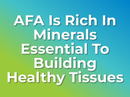 AFA Is Rich In Minerals Essential To Building Healthy Tissues